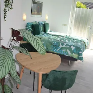 studio-38.zandvoort-hotels.com/